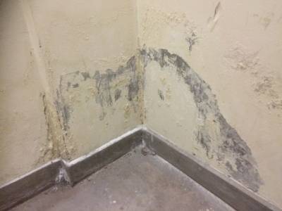 Damp and Leaks